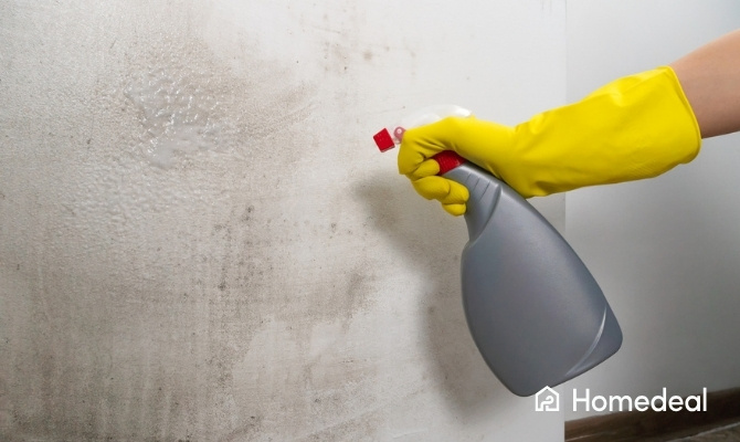 tadelakt schoonmaken